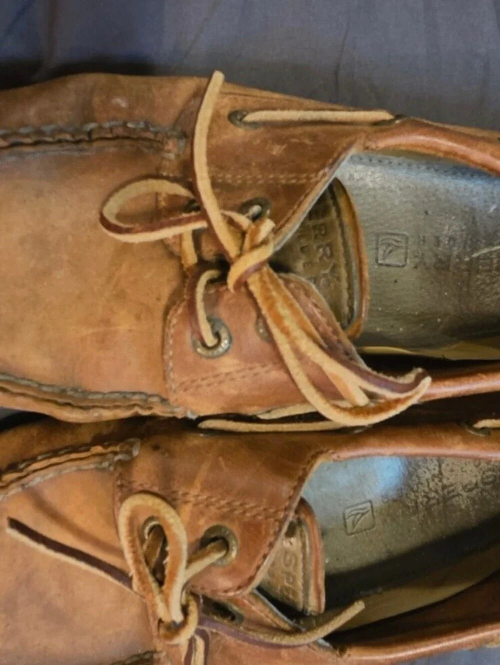 Sperry classics they